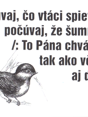pocuvaj-co-vtaci-spievaju